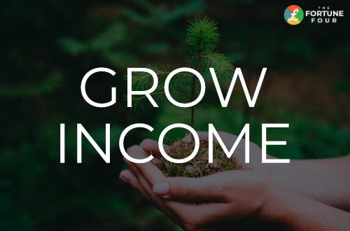 Grow income